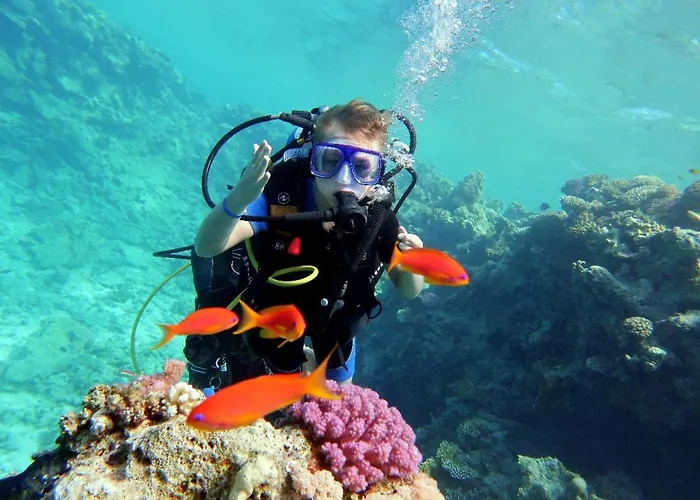 Sunshine Divers Club Sarm es-Sejk